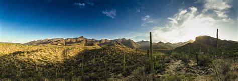 Sabino Canyon – A MarketPlace of Ideas