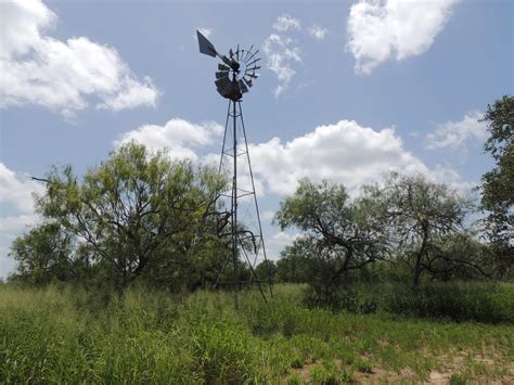 600 acres Brooks County Tx. - Busbee Ranches