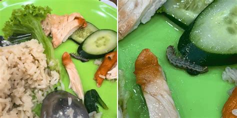 [Sg] - Diner at Jurong Point food court finds furiously wriggling ...