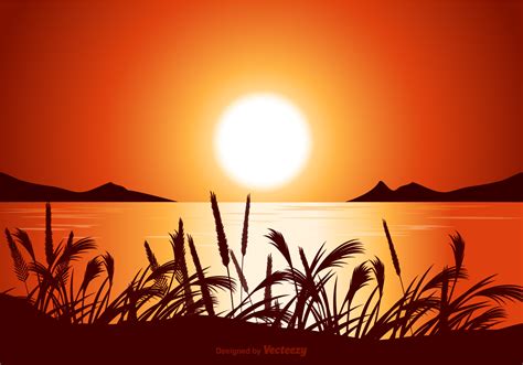 Vector Sunset Seascape Illustration - Download Free Vector Art, Stock Graphics & Images