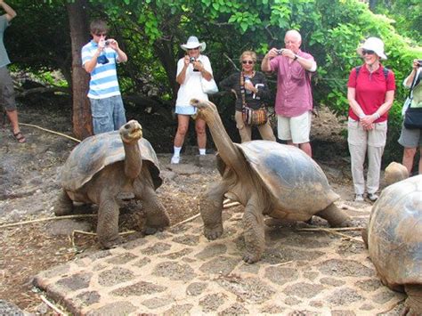 218.000 personas visitaron Galápagos el año anterior - TrafficAmerican