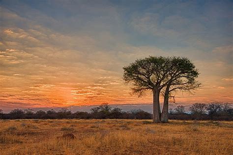 south african landscapes photography - Google Search | South african landscapes, African ...