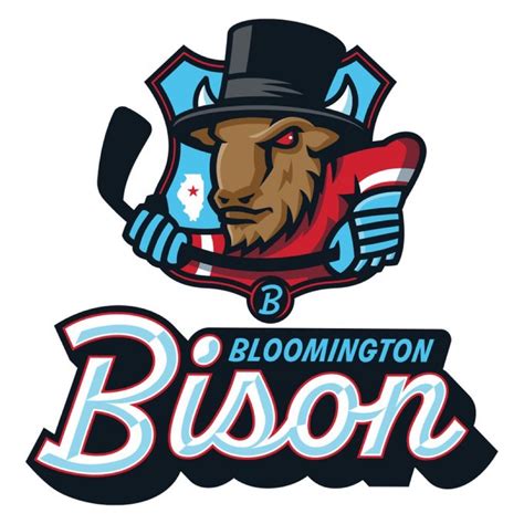 Bloomington Bison bring hockey back to Grossinger Motors Arena – Inkspot