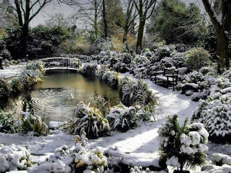 Amazing Winter Garden Landscape 44 - SWEETYHOMEE