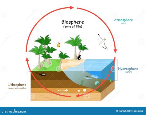 Ecosphere Cartoons, Illustrations & Vector Stock Images - 19 Pictures to download from ...