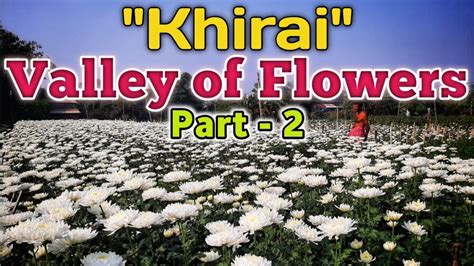 Khirai|Valley of Flowers | West Bengal | One Day Tour from Kolkata ...