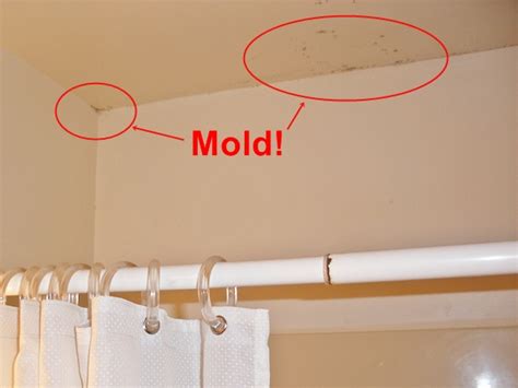 Black Mold Removal and Prevention in Bathroom