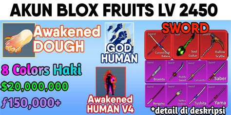 [BLOX FRUITS] Account Blox Fruits - Awaken Race HUMAN V4 (Awakened Race V4) + Godhuman ...