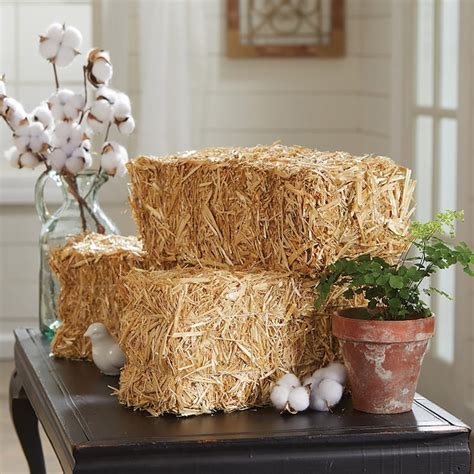 FloraCraft Barley Straw 35 sq. ft. (at 3-in to 4-in depth) in the Pine ...