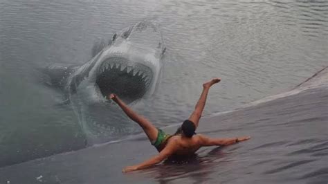 10 SCARY Shark Attacks You Won’t Believe - YouTube