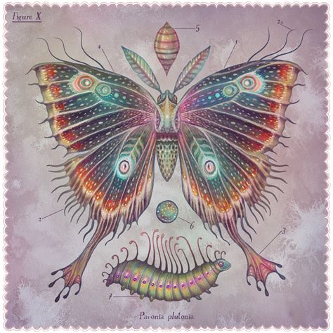 Fluttering Moths Radiate Whimsy in Twinkling Gifs by Vlad Stankovic ...