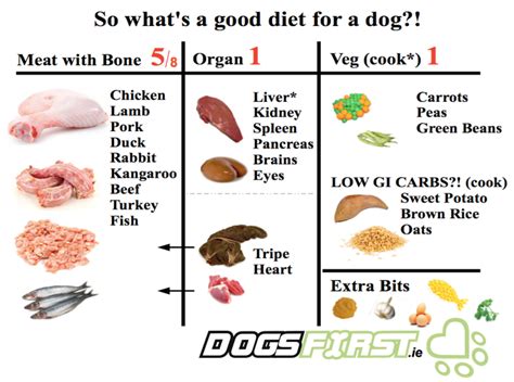 The Ever-Evolving World of Canine Nutrition... - Dogs First