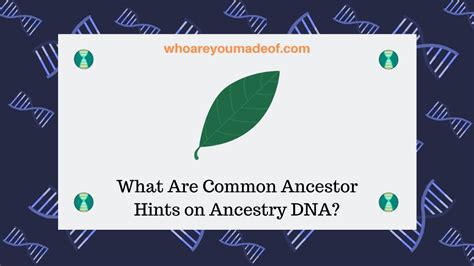 What Are Common Ancestor Hints on Ancestry DNA? - Who are You Made Of?