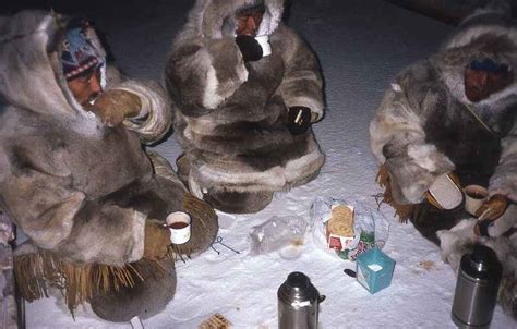 Il paradosso alimentare degli Inuit – VitAntica
