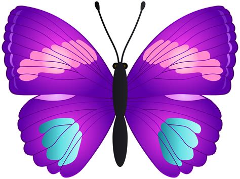 Transparent Butterfly Clipart | Free download on ClipArtMag