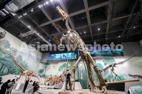 Shantungosaurus Skeleton