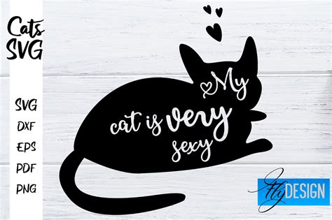 Cats SVG | Funny Cats Sayings SVG | Cat Quotes Design By Fly Design | TheHungryJPEG