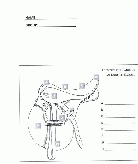 Horse Bridle Parts Diagram Sketch Coloring Page