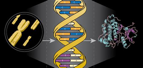 Specialized – Northwestern Proteomics