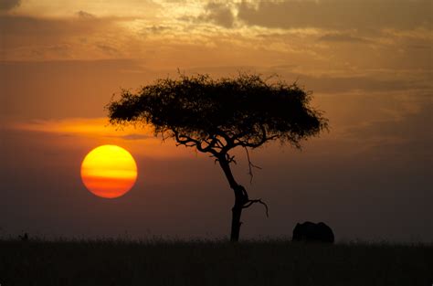 Safari Sunset | Bradjward | Flickr