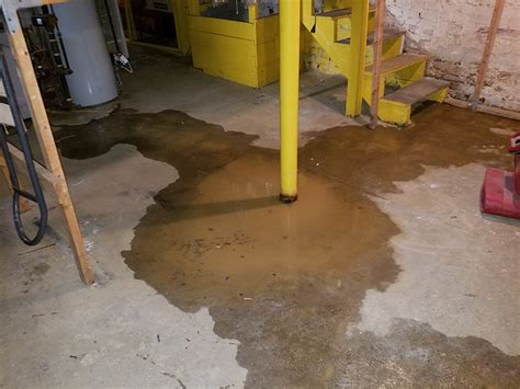 Facts about Wet Basements That May Surprise You Detroit | Basement Waterproofing Sterling Heights