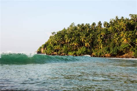 A Guide to Surfing Mirissa in Sri Lanka | Everything You Need to Know