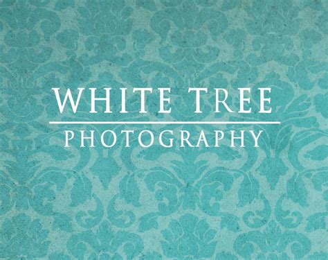 White Tree Photography | Dubai