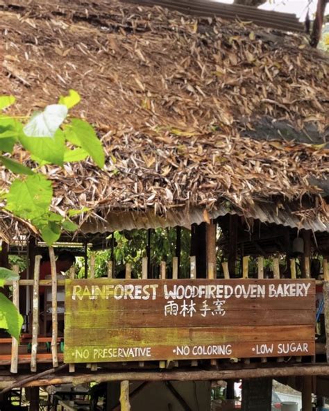 Rainforest Tree House: Hidden Hotel & Cafe In JB