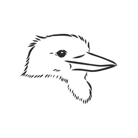 Premium Vector | Black outlined kookaburra birdvector drawing ...