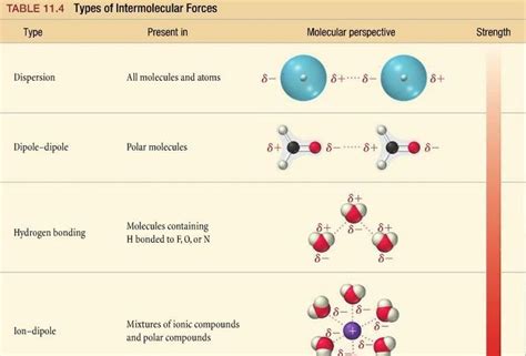 Image result for intermolecular forces