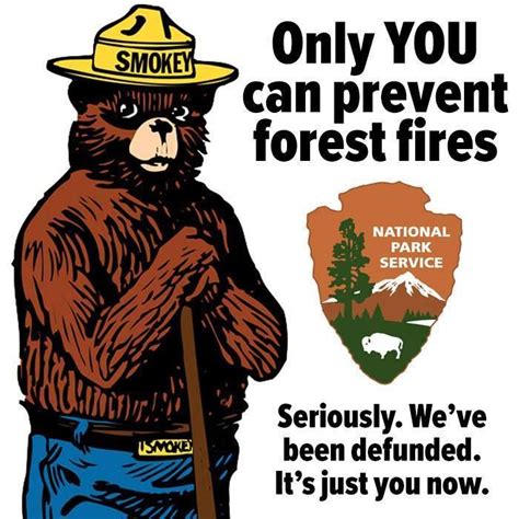 A PSA from Smokey the Bear.