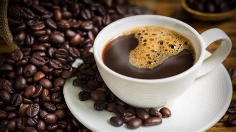 Luwak coffee “An exotic indonesian drink” - Blue Karma Magazine