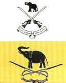 Sri Lanka Army Regiments / Corps - Flags