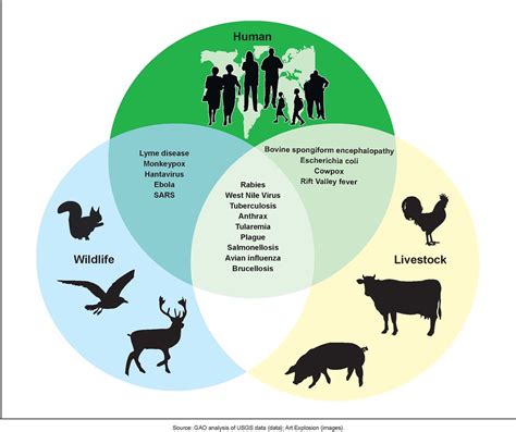 Figure 3: Examples of Zoonotic Diseases and Their Affected… | Flickr