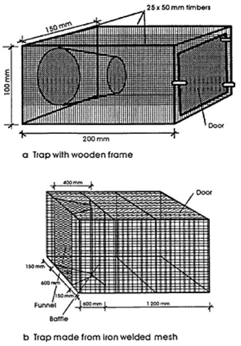 Survival Skill: How To Build A Cage Fish Trap - AverageOutdoorsman