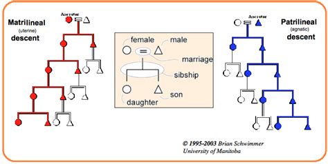 Anthropology - Kinship Diagram | Quizlet