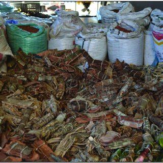 7 Inside a traditional medicine stall at the Kwa Mai-Mai Muthi Market... | Download Scientific ...