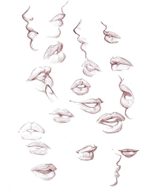 Lips Drawing Reference and Sketches for Artists | Lips drawing, Human drawing, Lips sketch