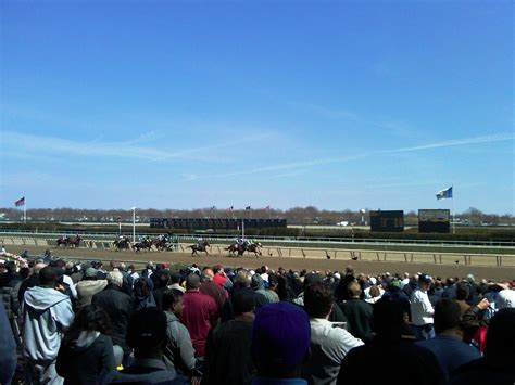 Today’s Free Aqueduct Winning Horse Picks [2025]