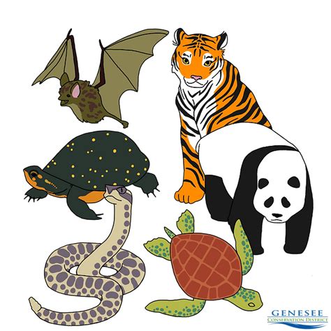 endangered animalss - Clip Art Library