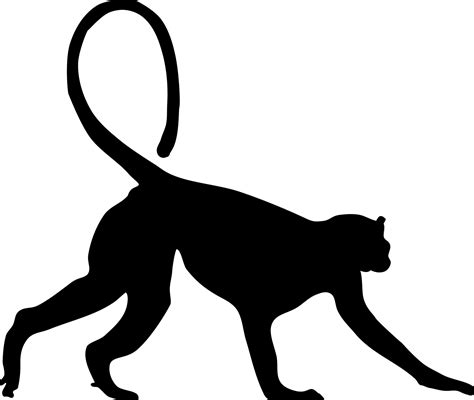 Silhouette Of A Monkey Free Stock Photo - Public Domain Pictures