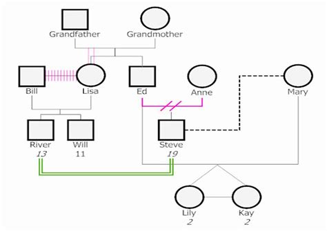 Free 3 Generation Genogram Template