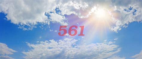 What Is The Spiritual Significance Of The 561 Angel Number? - TheReadingTub