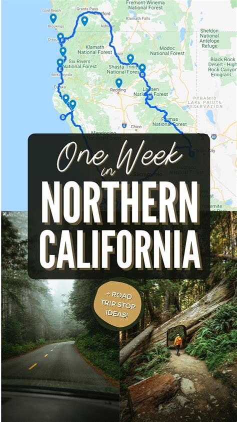 The Best Northern California Road Trip Itinerary | The Mandagies ...