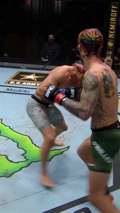 Sean O’Malley knockout highlights : r/ufc