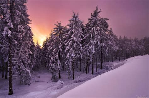 *🇩🇪 Winter dusk (Thuringian Forest, Germany) by Kilian Schönberger on 500px E | Landscape ...