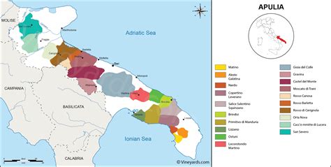 Italy Map of Vineyards Wine Regions