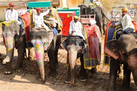 Elephant Ride in India editorial stock photo. Image of riders - 20155463