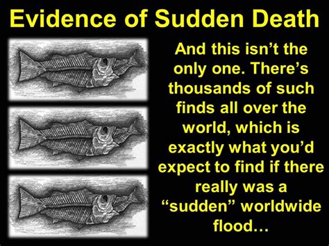 Proof of The Flood | Bible evidence, Apologetics, Christian apologetics