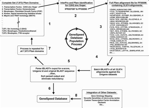 GeneSpeed database population process. In sequential order as given in... | Download Scientific ...